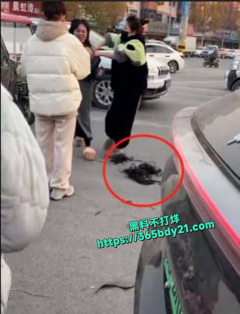 原配街头手撕小三现场曝光头发被剪当众社死 1