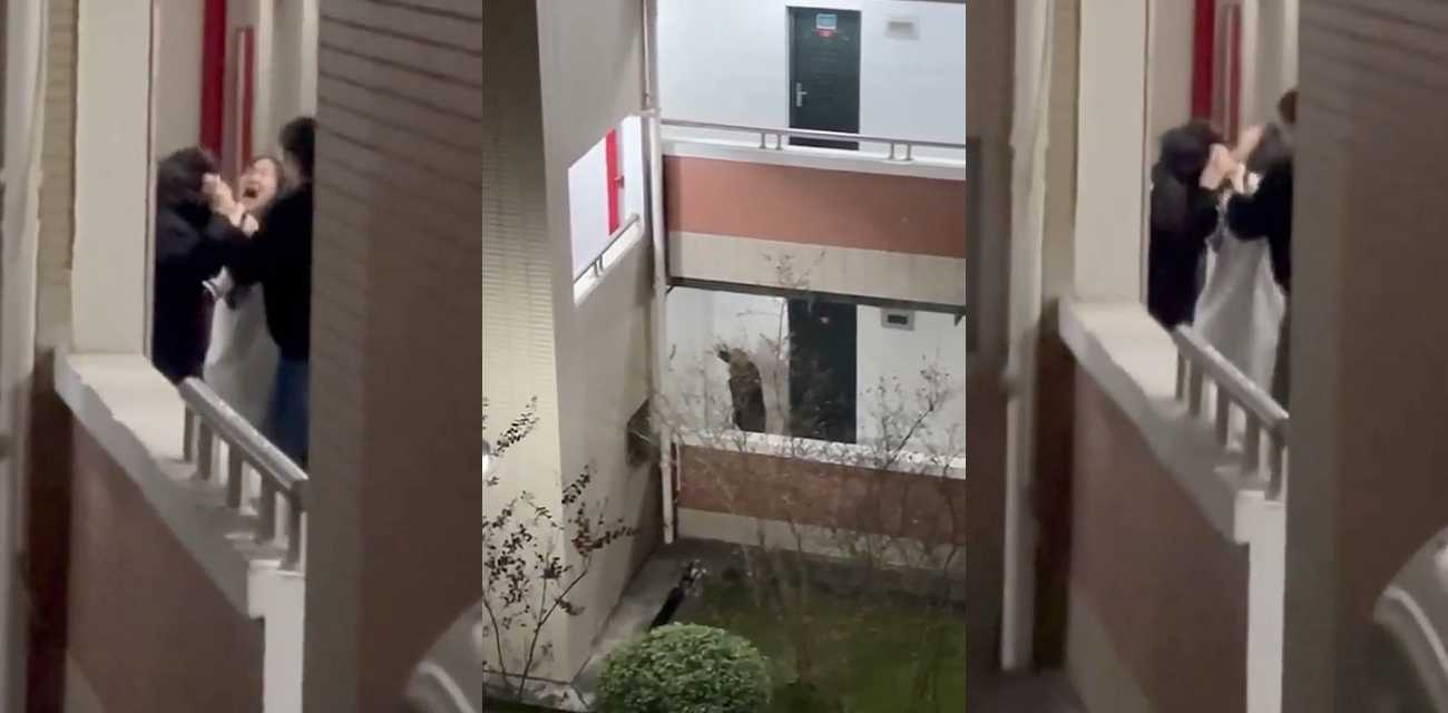 厦门大学嘉庚学院校园霸凌事件 霸凌者以精神病为由脱身 学校保护打人者枉顾受害者