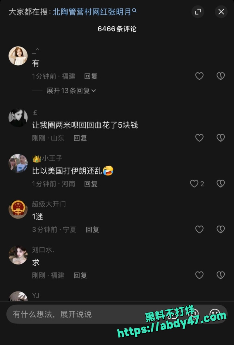 薛阿芊  12