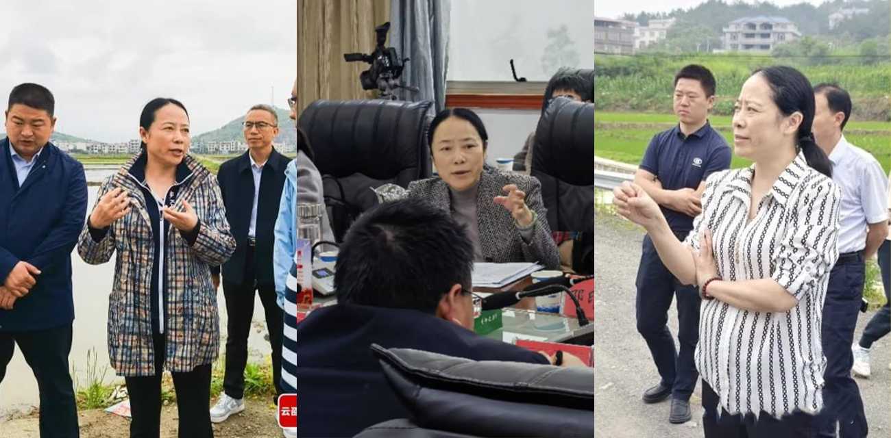湖南邵阳最美副市长仇珂静 被开除党籍移送检察院 权色交易包养男模丑闻曝光