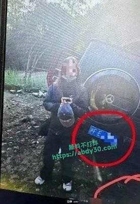 金晨被曝在浙江肇事逃逸让助理顶包骗保 5