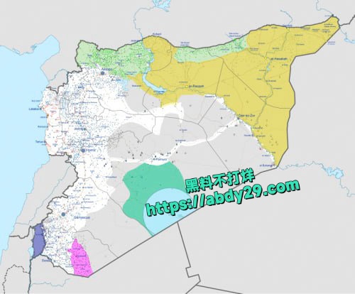 叙利亚ISIS士兵对库尔德女兵残忍处决 4