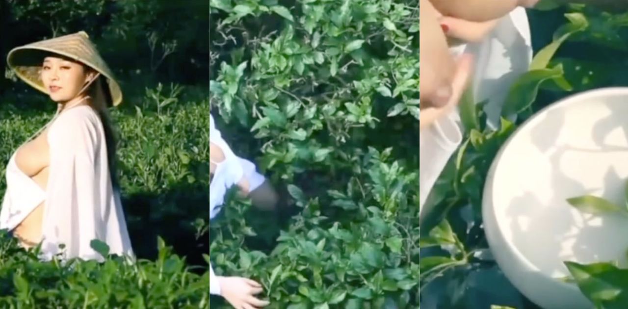 来自少妇的“奶茶”，全程都是用奶子来打造的“精品”，奶茶都是奶香味！