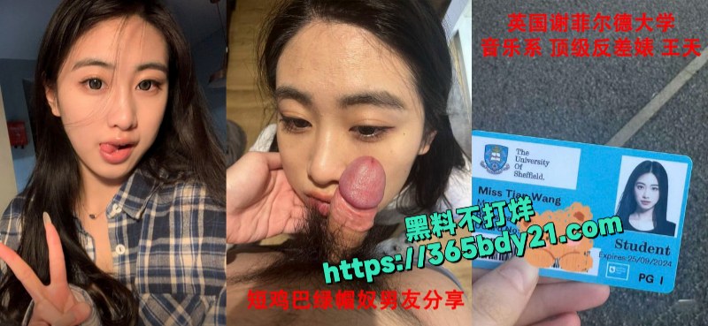 英国谢菲尔德大学绿帽奴贡献顶级留学生女友 12