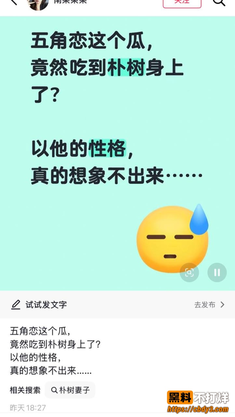 歌手朴树出轨演员王子文08