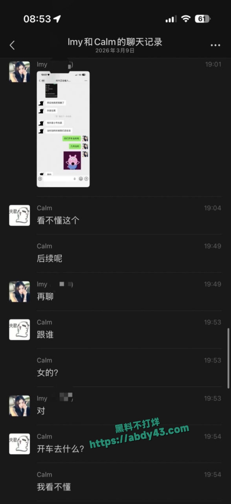 武汉W车队不吃猪肝 29