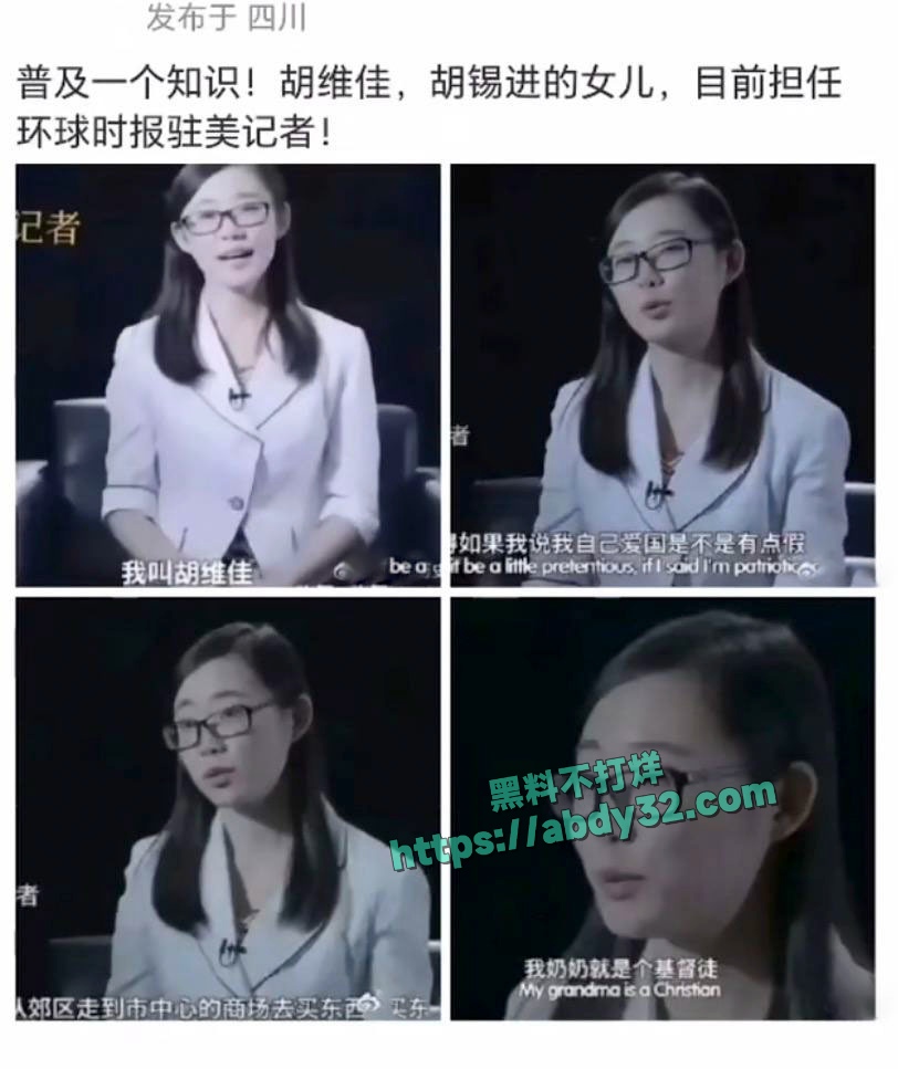 环球总编胡锡进女儿胡维佳国外开淫趴 8