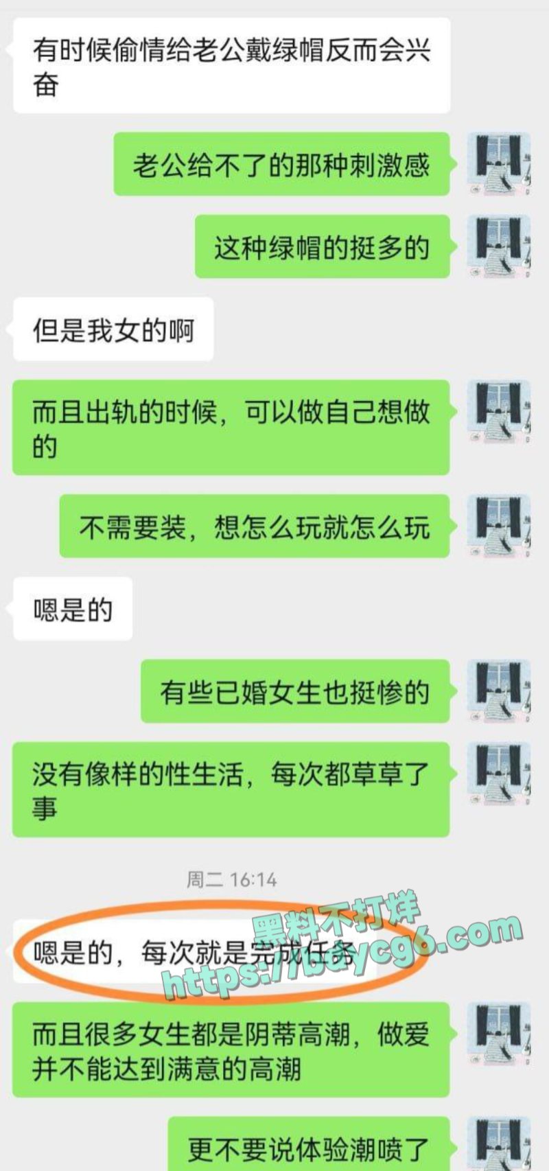 网调极品少女13