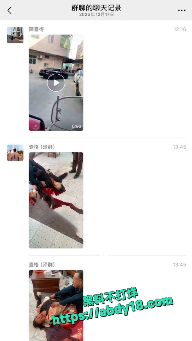 潮汕精神病砍死4人 3
