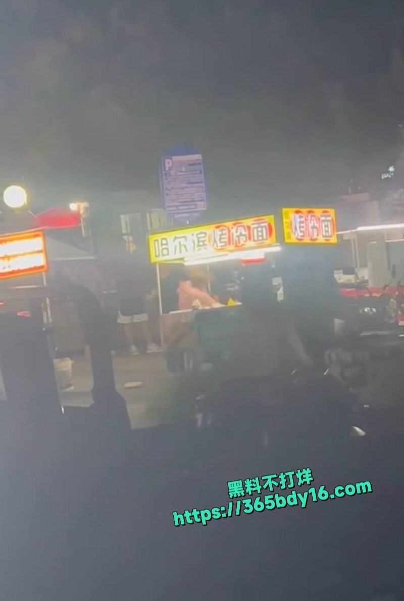 哈尔滨夜市打架视频 4