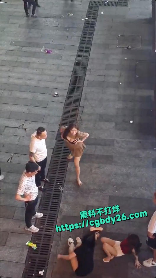 精神小妹街头撕逼现场大奶子都打的露出来了3