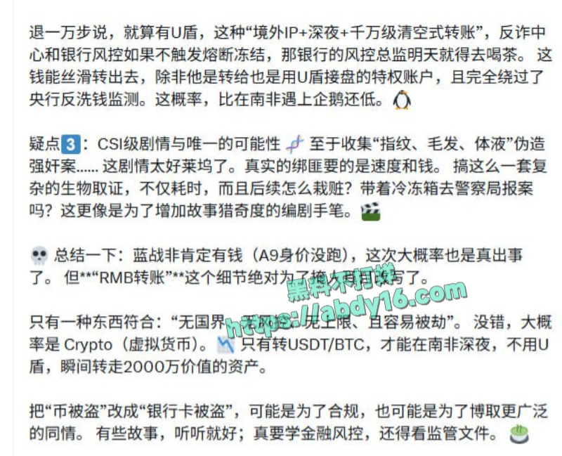 蓝战非南非绑架事 11