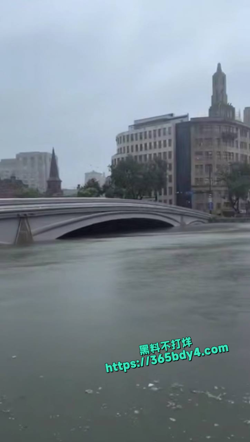 台风竹节草导致上海黄浦江水倒灌2