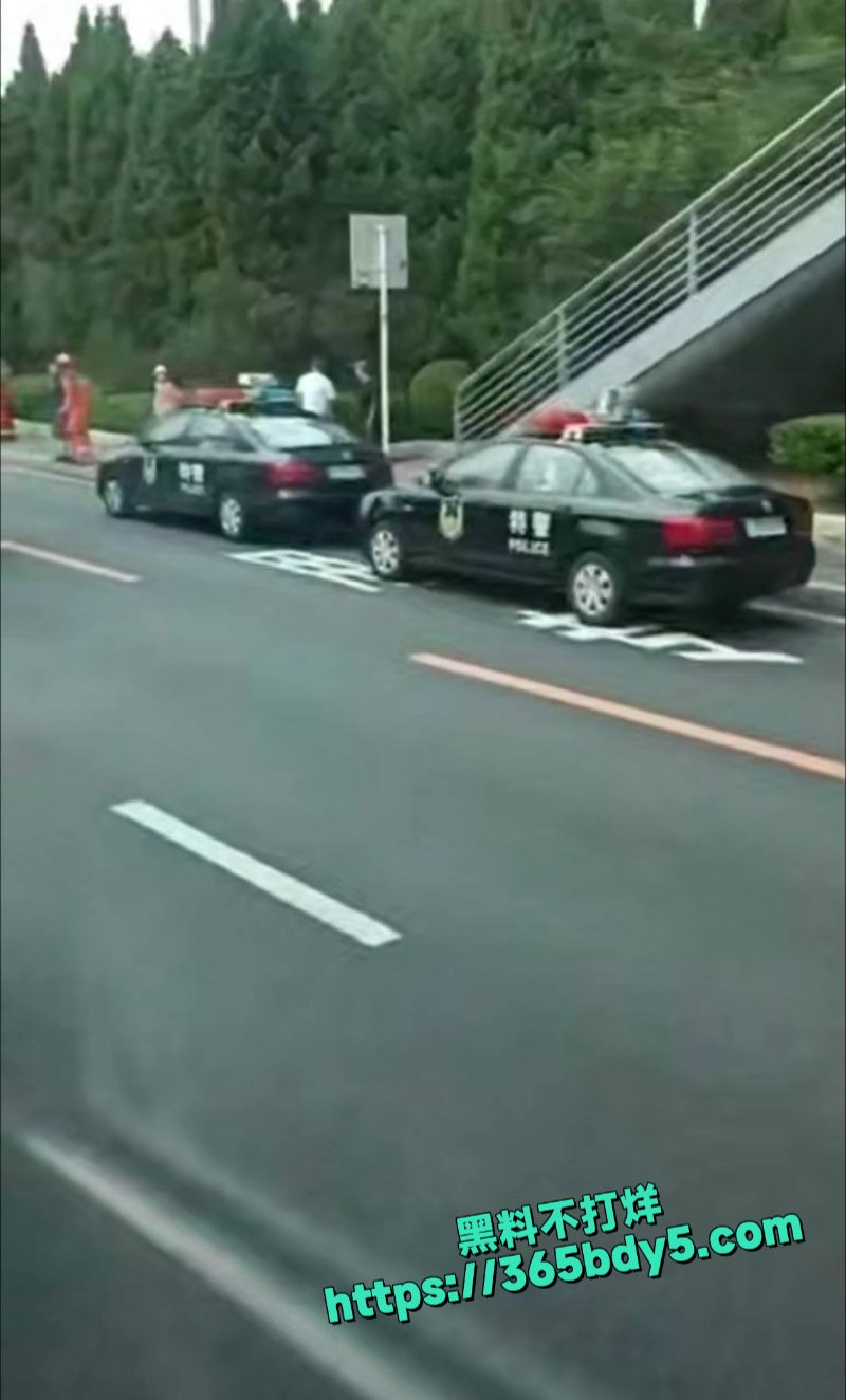 大连车祸5