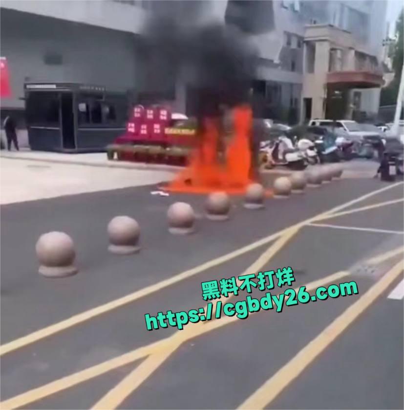 政务服务2
