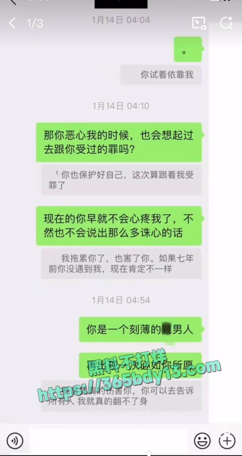 女网友与魏大勋聊天记录15