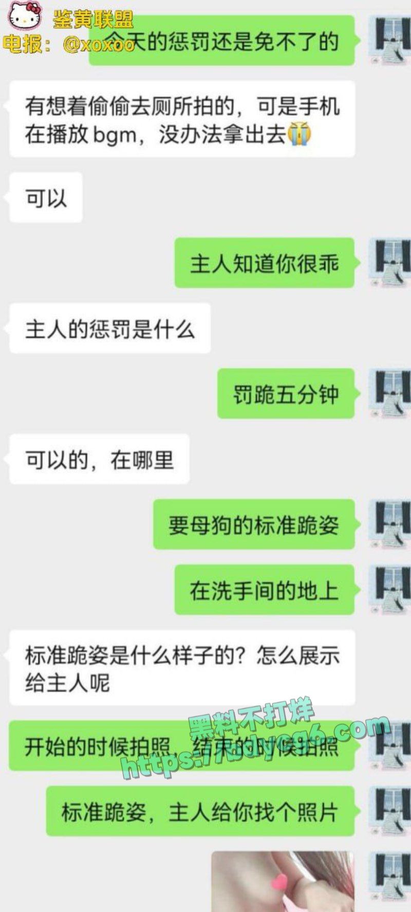 网调极品少女8