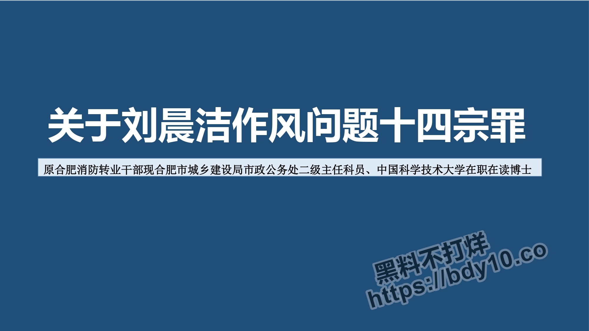 刘晨洁生活问题十四宗罪.jpg