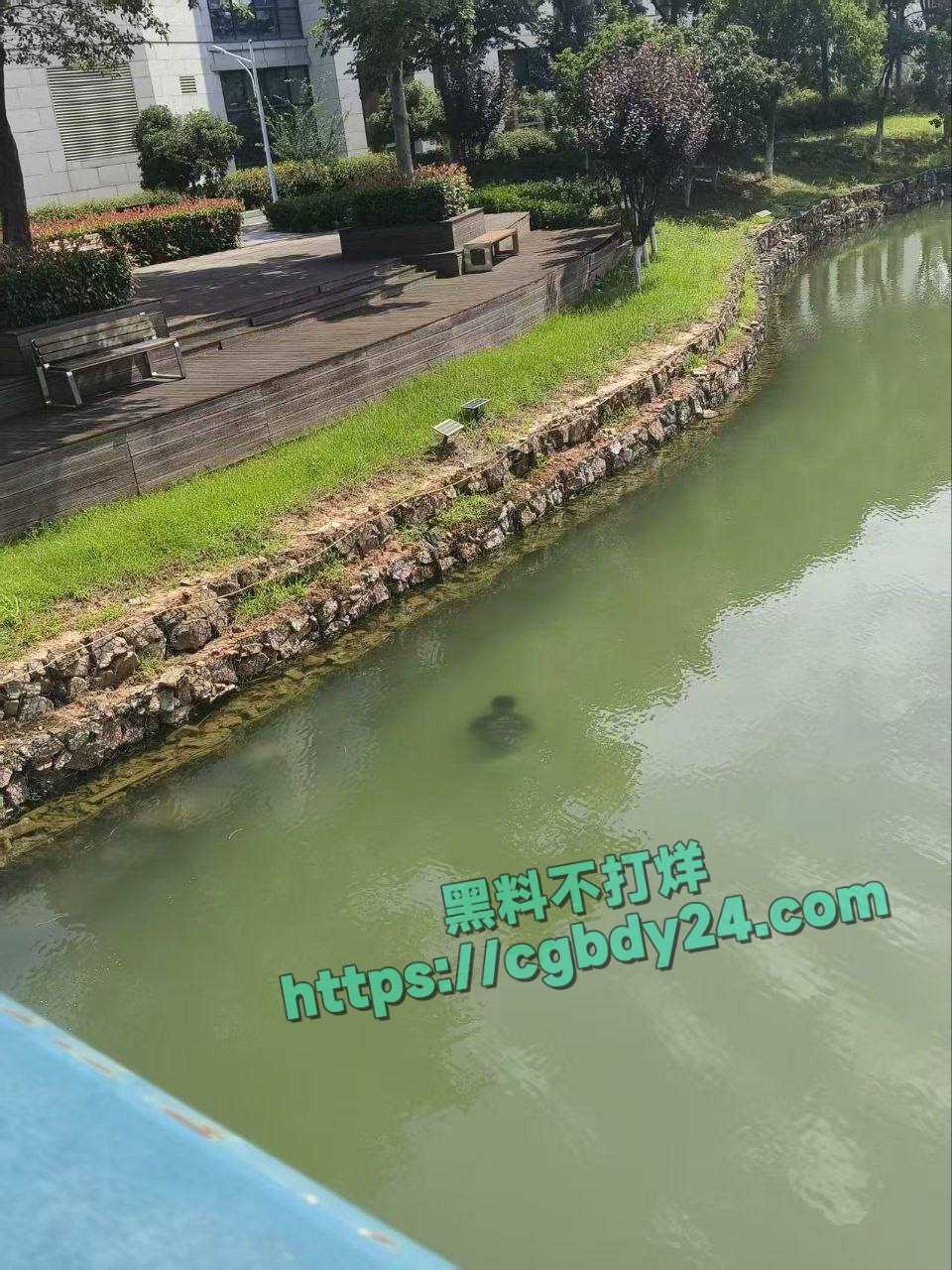 湖北武汉中国地质大学未来城校区在湖中捞出一具学生尸体3