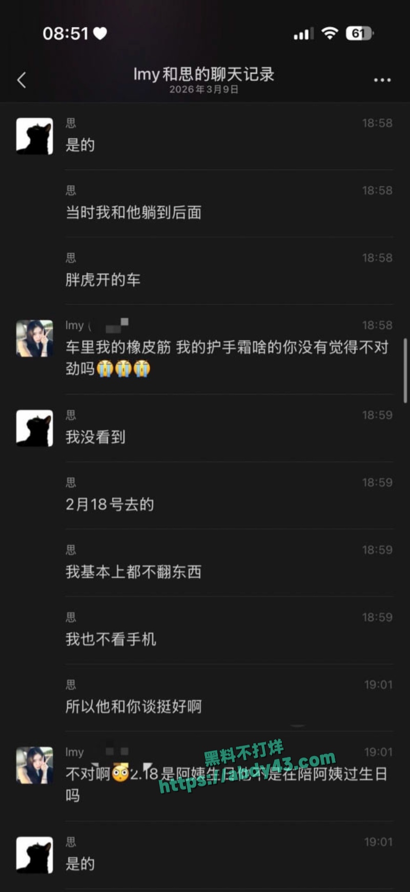 武汉W车队不吃猪肝 19
