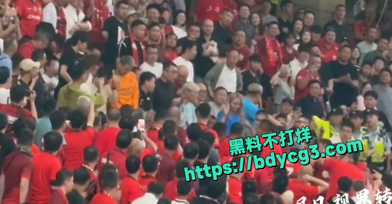 落单申花球迷被海港球迷围殴 2