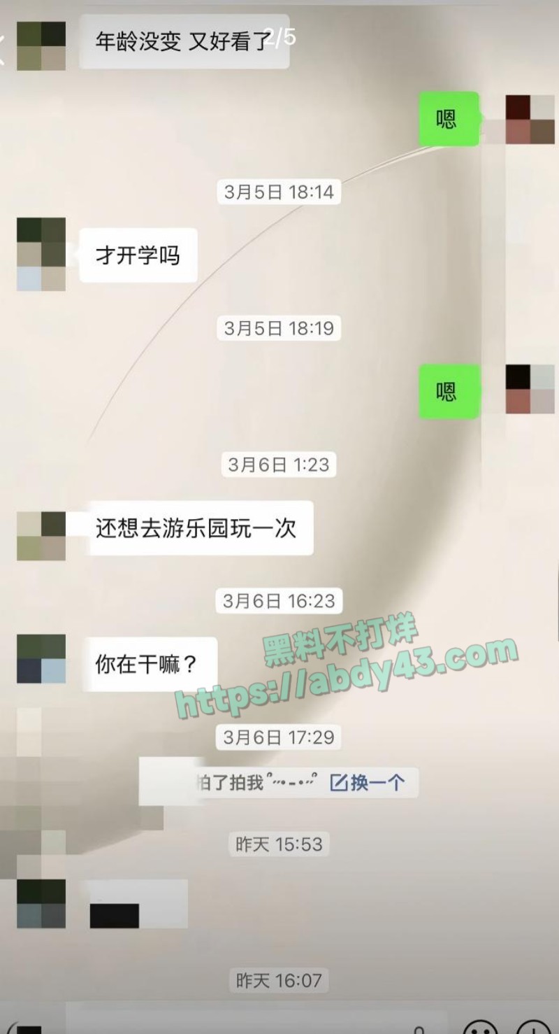奶爸网红月野兔小樱