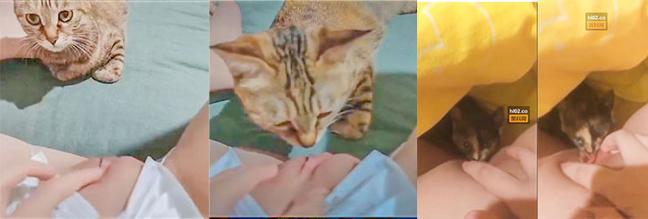 这个逼很臭吗？ 猫猫一脸嫌弃，为什么还是甜得津津有味？