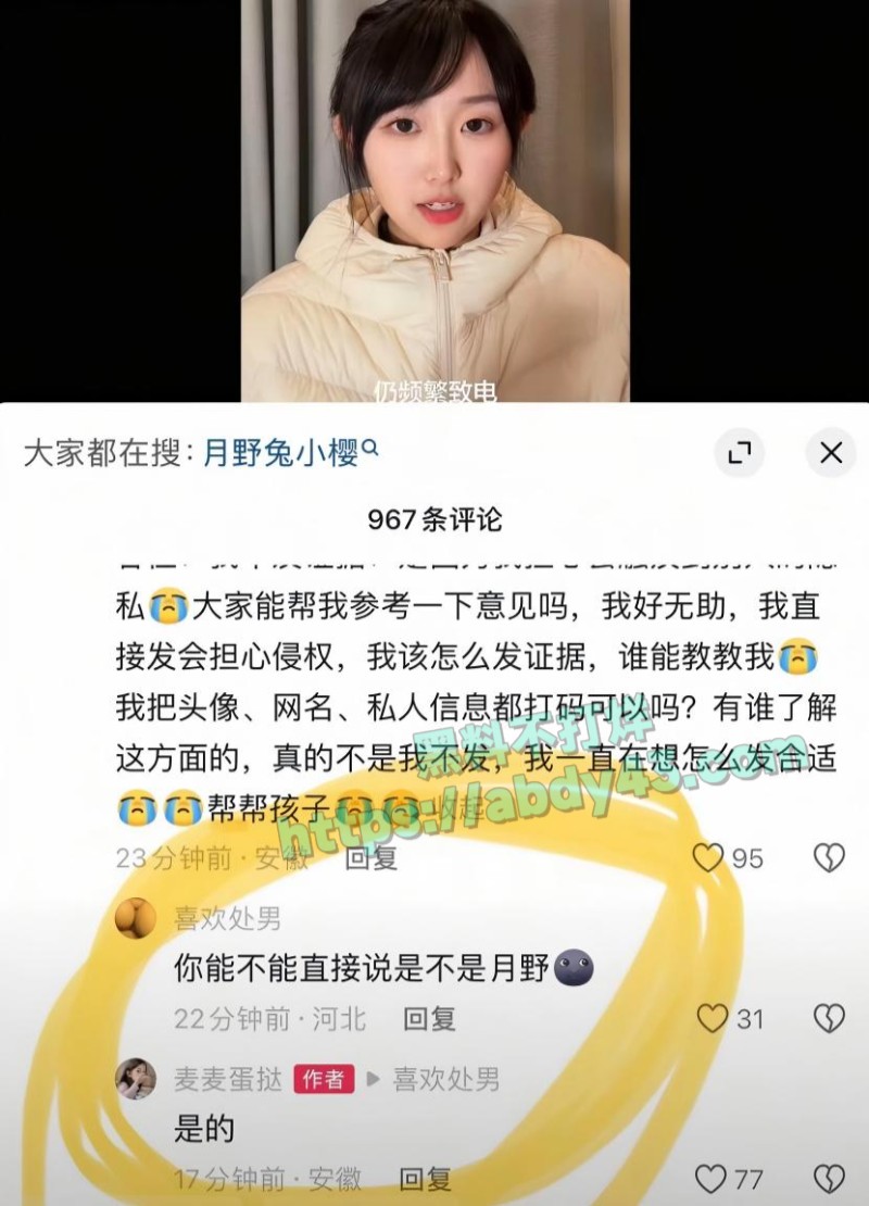 奶爸网红月野兔小樱25