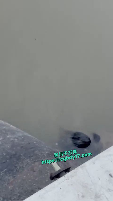 广东猎德大桥，钓鱼佬钓到一具浮尸11