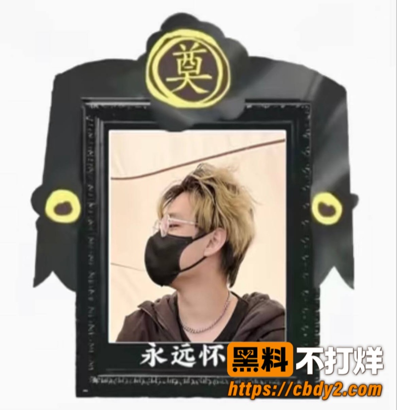 黑猫大少爷25