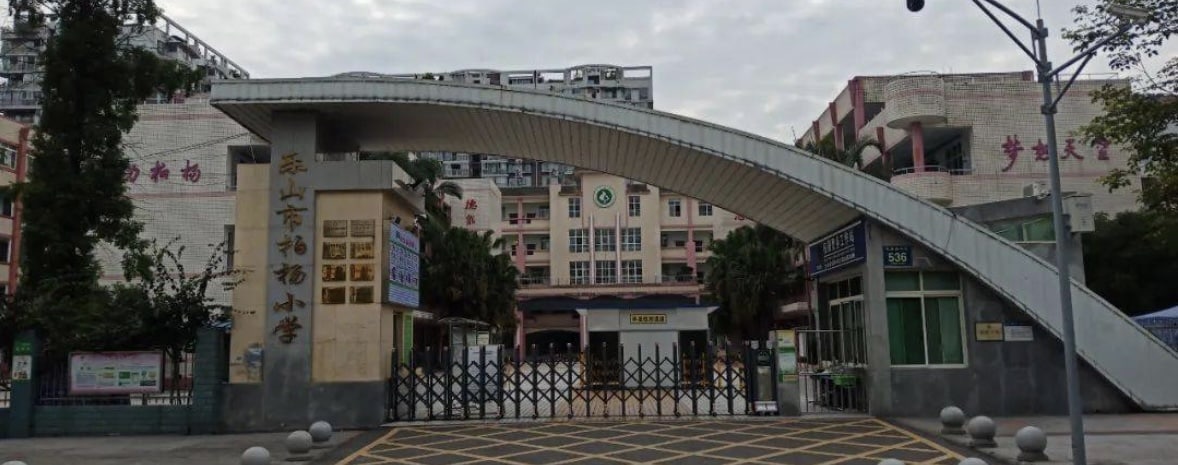 乐山 中心城区凤凰路柏杨小学附近， 一男子手持刀具，欲闯入柏杨小学。网传，欲进入小学未果后，其一路杀到乐山市政务中心门口