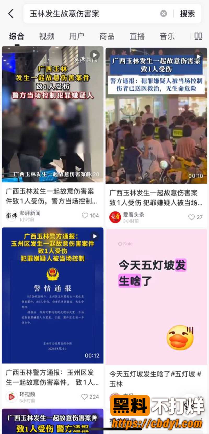 广西玉林十字街砍人9