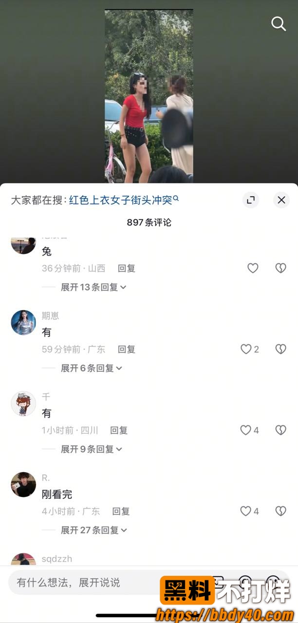红色上衣女子打架