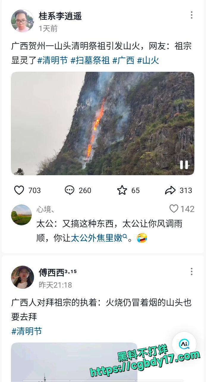 龙美山起火2