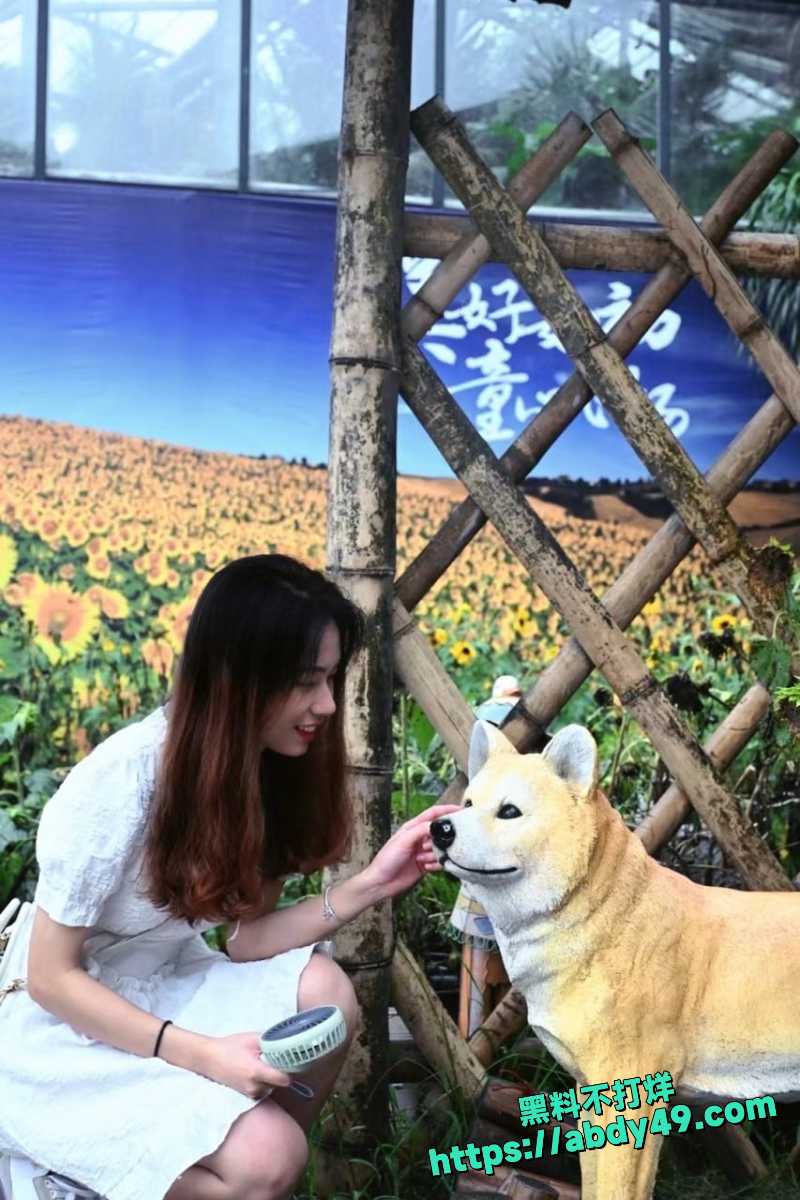 林虹 15