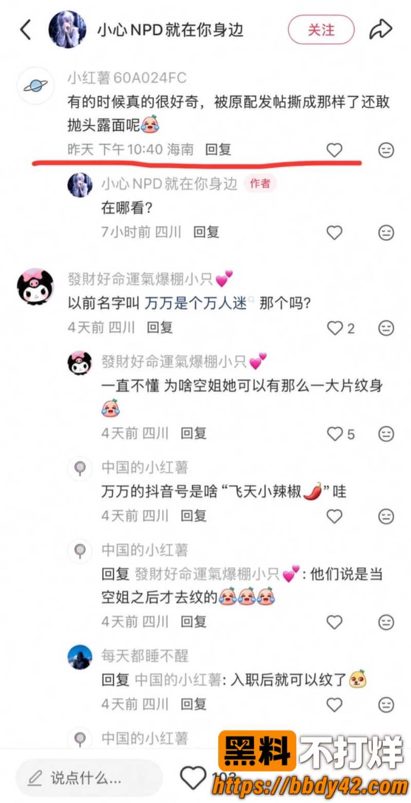 一饭封神2 川航空姐飞天小辣椒20