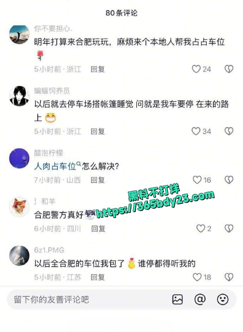 奥特莱斯停车场视频车主碰到阿姨人肉占车位4