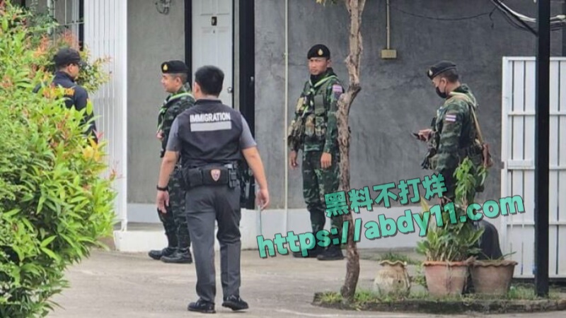 缅甸诈骗头目佘智江引渡回国 11