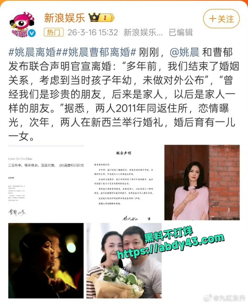 知名演员 姚晨 12
