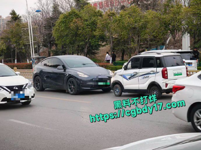 老头乐逆行老人下车给特斯拉车主一顿骂4