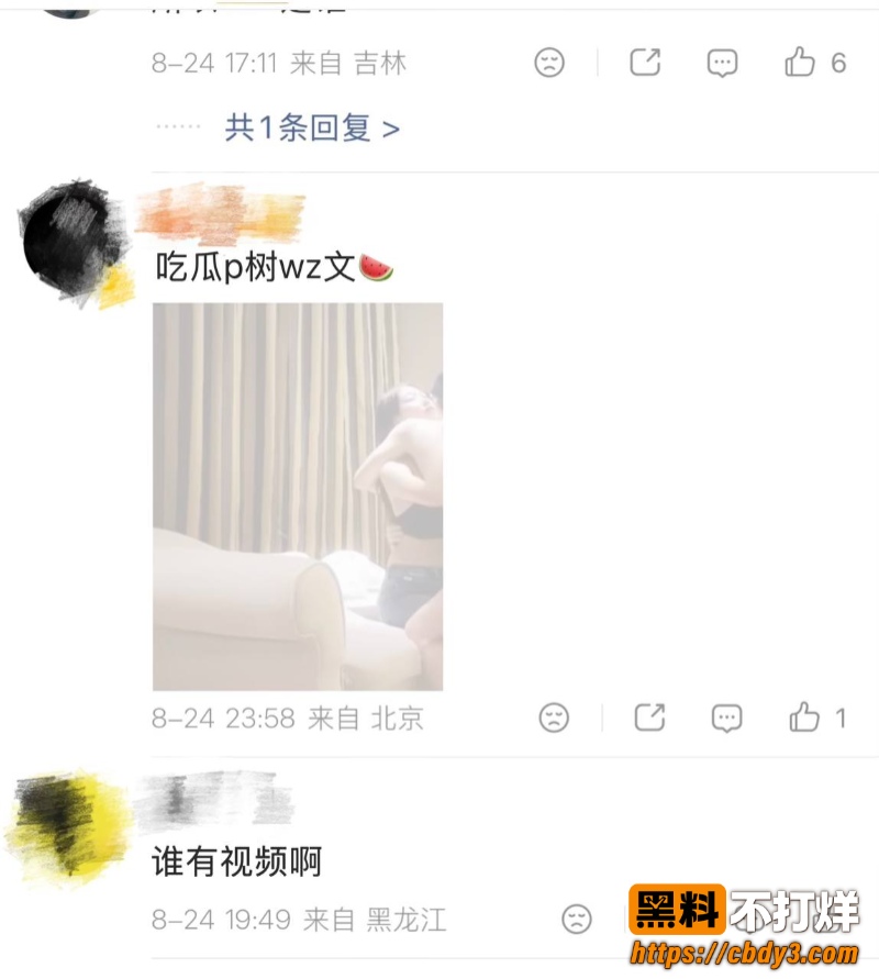 歌手朴树出轨演员王子文41