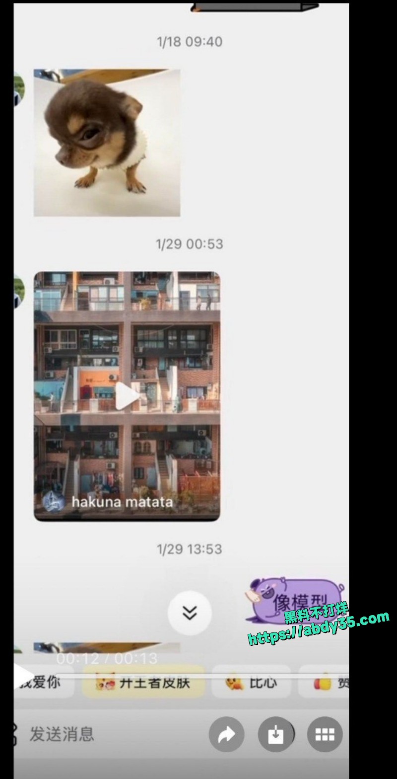 河南第一渣男5