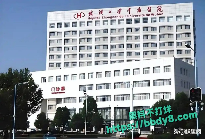 中南大学医院院长雷神山原院长王行环13