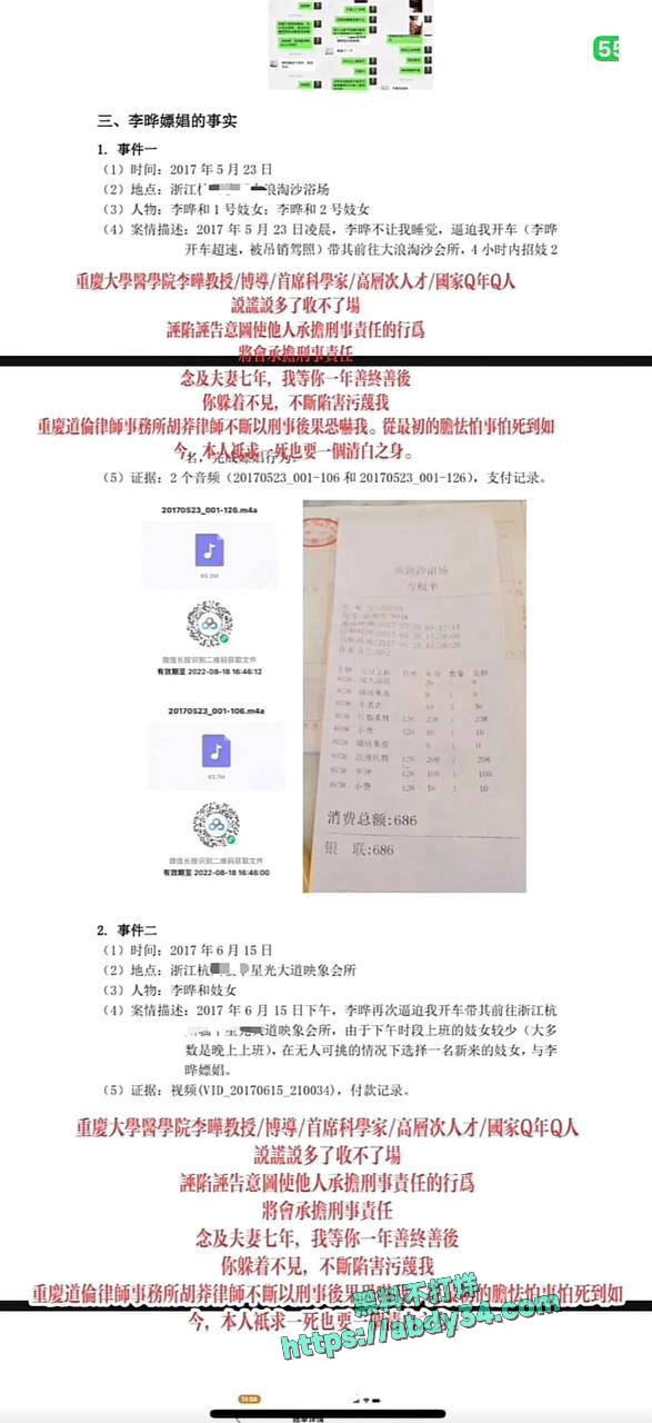 PDF列举李晔罪状1