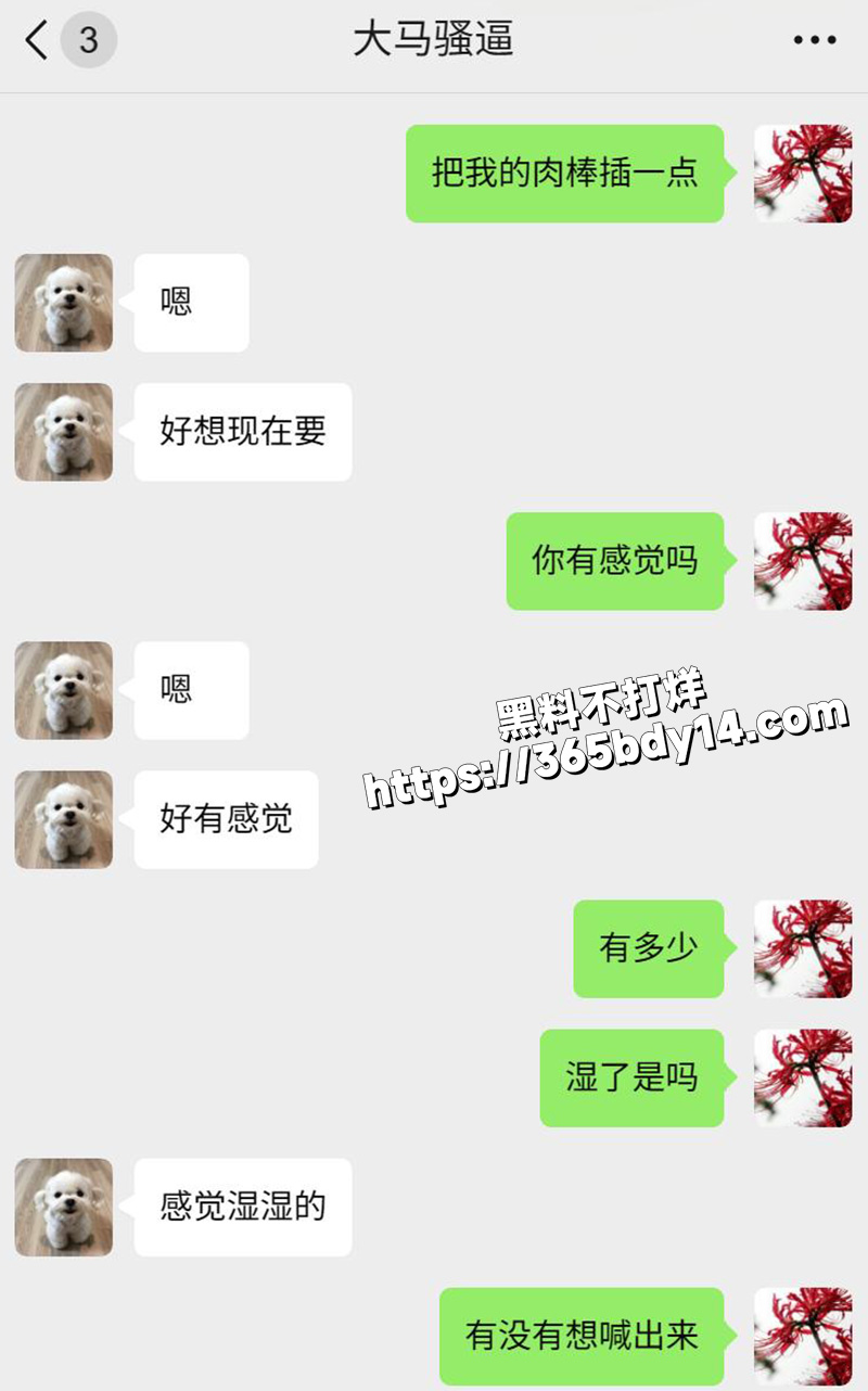 网调马来西亚小妞4