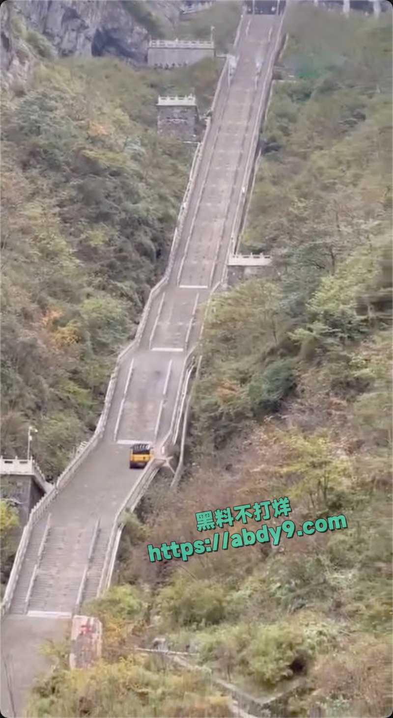 奇瑞风云X3L天门山天梯挑战失败 7
