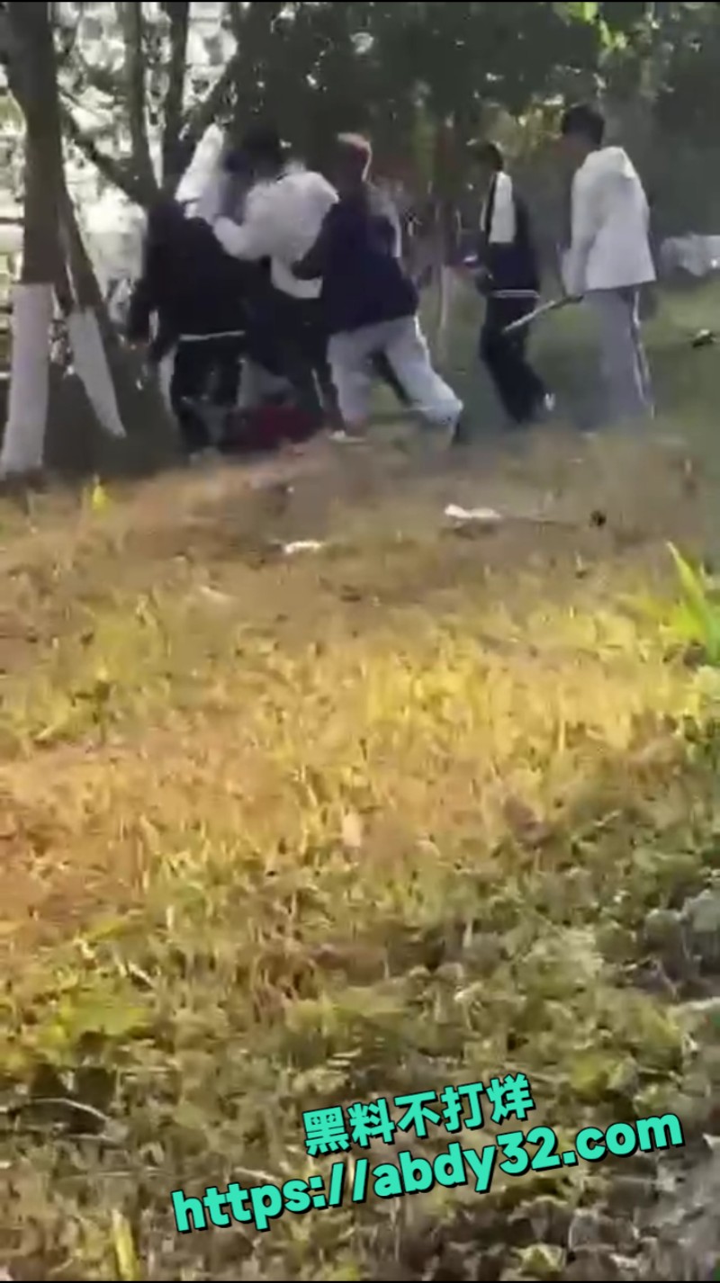 精神小伙团架霸凌 1