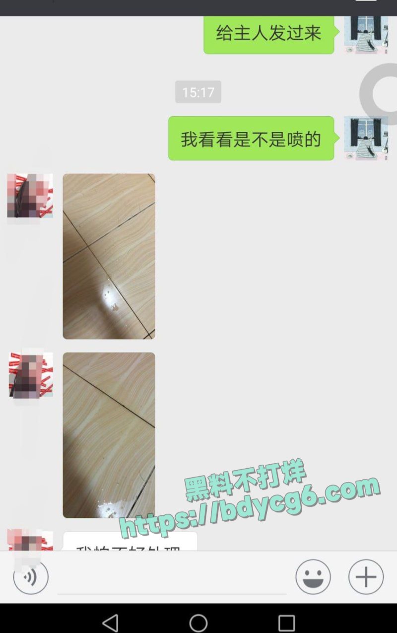 网调极品少女14