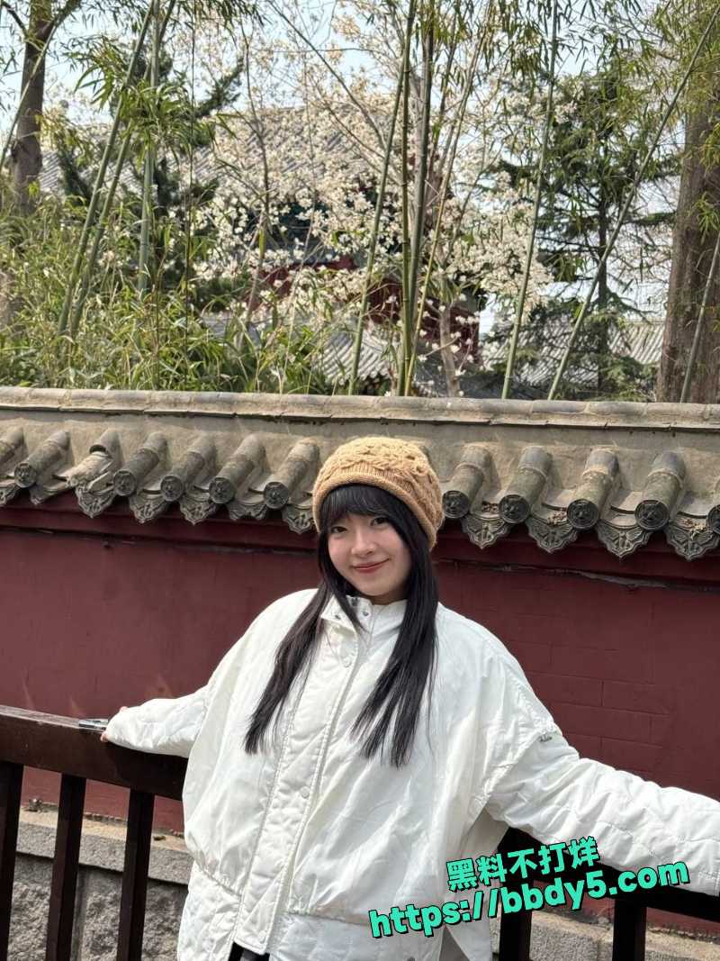 山东青岛 7