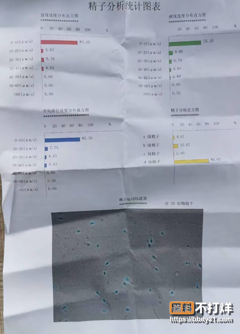 深圳 10
